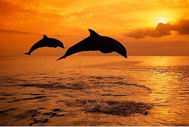 《塞伯利亚之谜：之前的世界》12月10日将在PC发布 2022登陆主机平台 